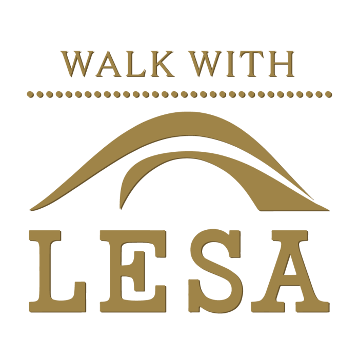 logowalkwith6
